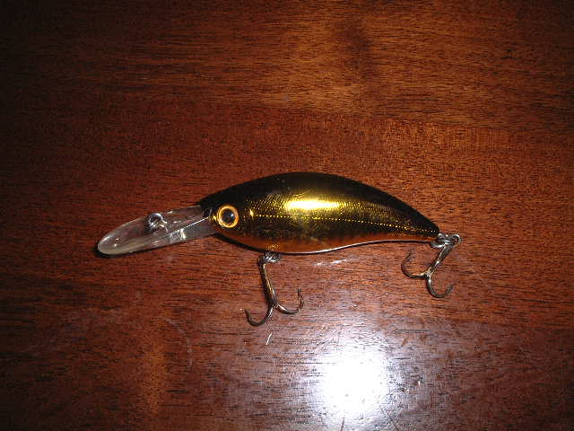 ディプシードゥー（SMITH）目立たないけど安定した釣果のシステムクランク。
